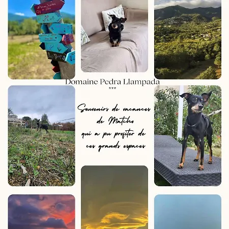 Domaine Pedra Llampada Apartamento Villelongue-dels-Monts