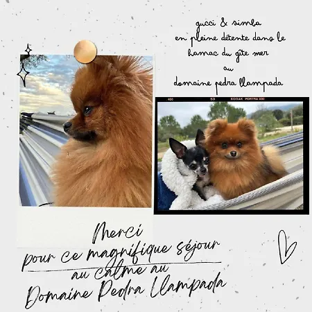 Domaine Pedra Llampada